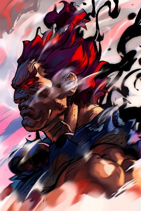 Street Fighter – 1 Panel – Multiple Sizes | Home Decor