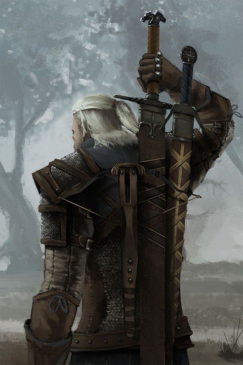 The Witcher – 1 Panel – Multiple Sizes | Home Decor