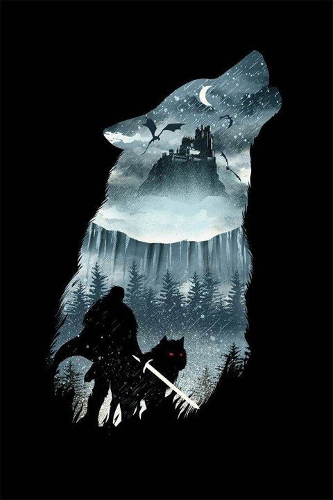 The Witcher – 1 Panneau – Plusieurs Tailles | Décoration Maison
