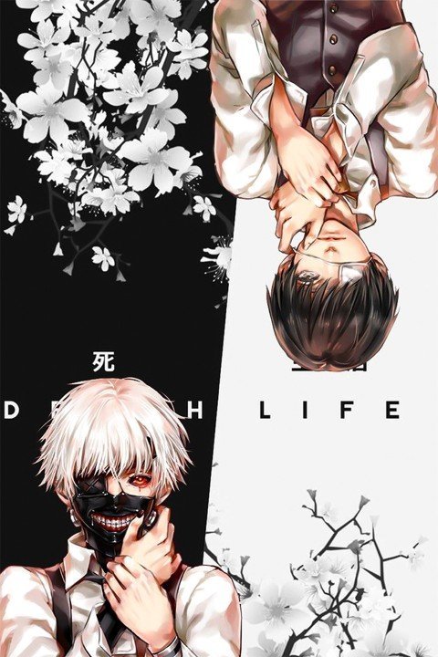 Tokyo Ghoul – 1 Panneau – Plusieurs Tailles | Décoration Maison