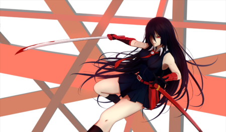 لوحة Akame ga Kill! – قطعة واحدة – برشة أحجام | ديكور دارك