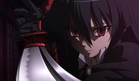 Akame ga Kill! – 1 Panel – Multiple Sizes | Home Decor