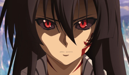 لوحة Akame ga Kill! – قطعة واحدة – برشة أحجام | ديكور دارك