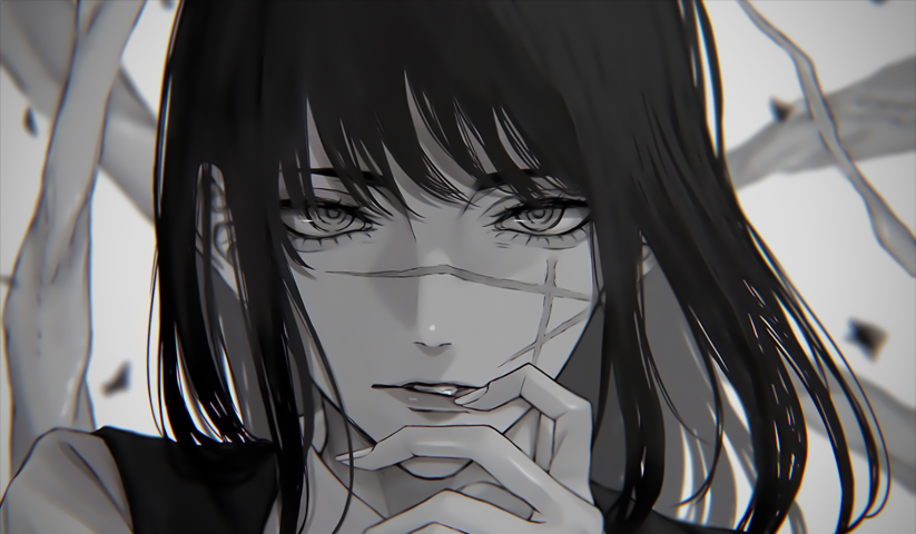 Chainsaw Man – 1 Panneau – Plusieurs Tailles | Décoration Maison