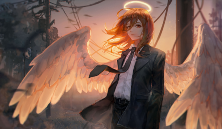 Chainsaw Man – 1 Panneau – Plusieurs Tailles | Décoration Maison