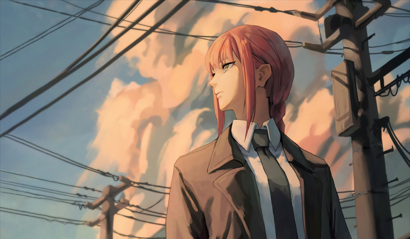 Chainsaw Man – 1 Panneau – Plusieurs Tailles | Décoration Maison