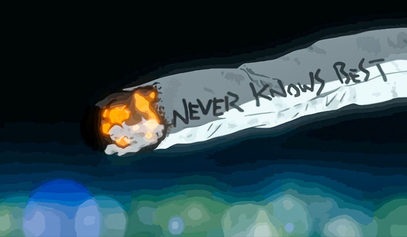 FLCL – 1 Panel – Multiple Sizes | Home Decor