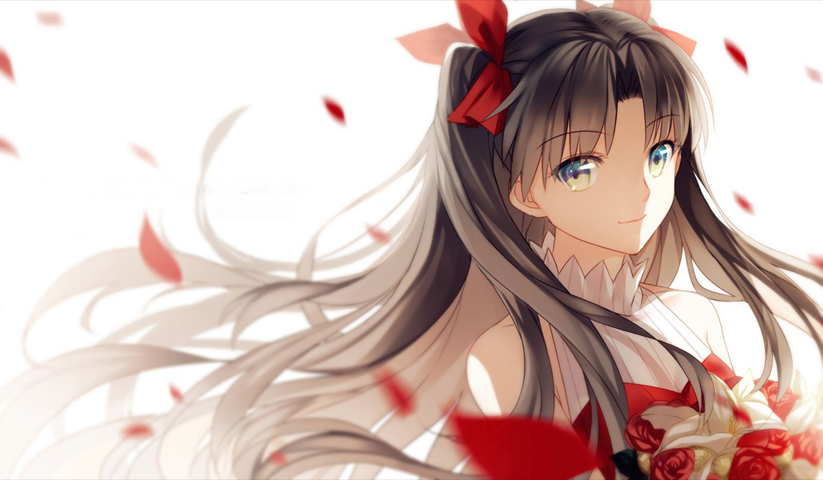 Fate stay night – 1 Panneau – Plusieurs Tailles | Décoration Maison