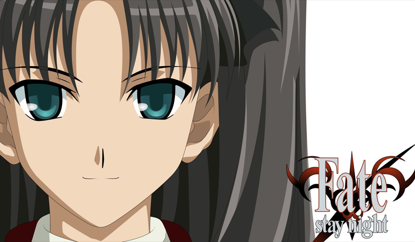 Fate stay night – 1 Panneau – Plusieurs Tailles | Décoration Maison