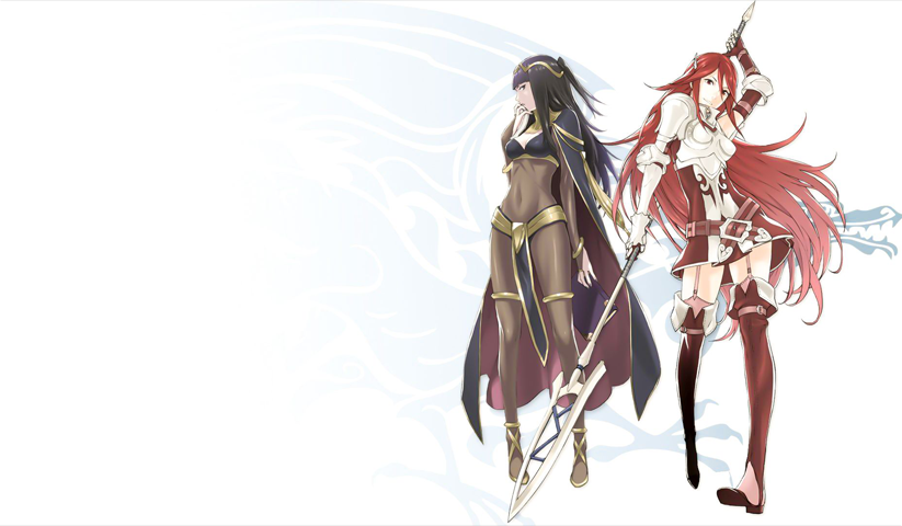 Fire Emblem – 1 Panel – Multiple Sizes | Home Decor