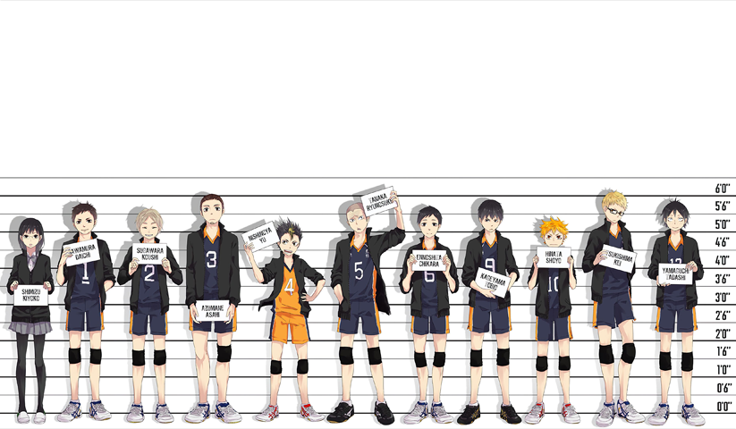 لوحة Haikyuu! – قطعة واحدة – برشة أحجام | ديكور دارك