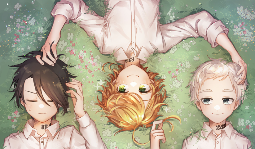 Promised Neverland – 1 Panneau – Plusieurs Tailles | Décoration Maison