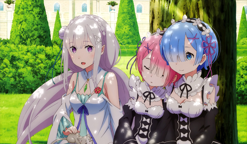 Re Zero – 1 Panneau – Plusieurs Tailles | Décoration Maison