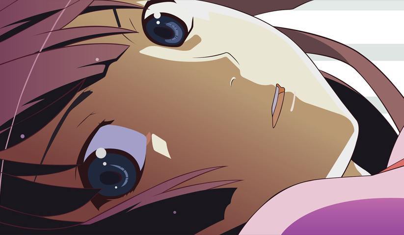 The Monogatari Series – 1 Panel – Multiple Sizes | Home Decor