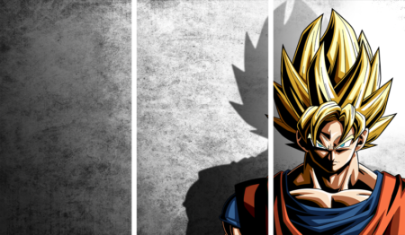 Dragon Ball – 3 Panneaux – Plusieurs Tailles | Décoration Maison