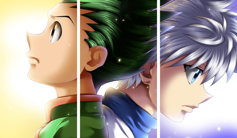 Hunter X Hunter HXH – 3 Panels – Multiple Sizes | Home Decor