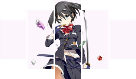 Akame ga Kill! – 5 Panneaux – Plusieurs Tailles | Décoration Maison