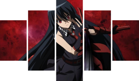 Akame ga Kill! – 5 Panneaux – Plusieurs Tailles | Décoration Maison