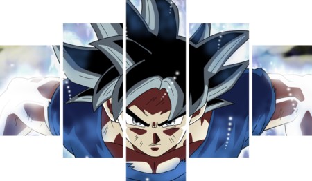 Dragon Ball – 5 Panneaux – Plusieurs Tailles | Décoration Maison