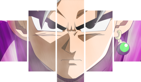 Dragon Ball – 5 Panneaux – Plusieurs Tailles | Décoration Maison
