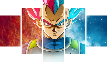 Dragon Ball – 5 Panneaux – Plusieurs Tailles | Décoration Maison