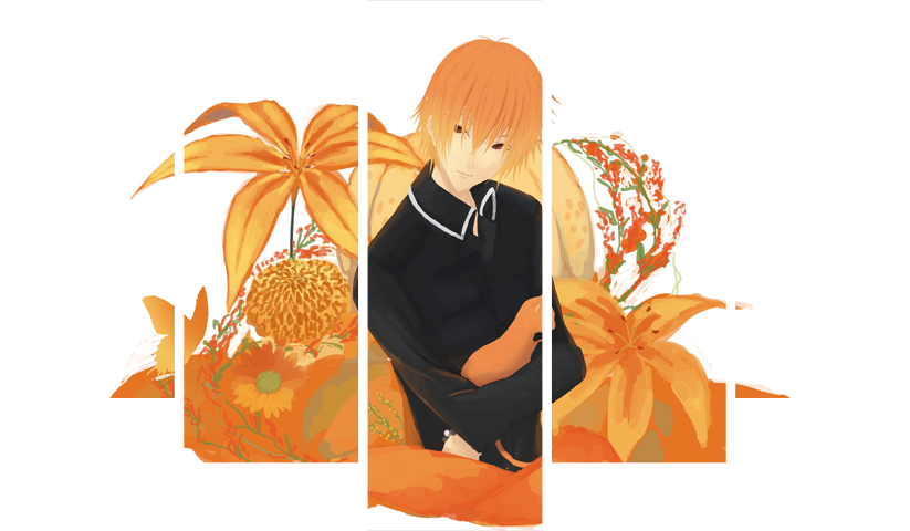 Fruits Basket – 5 Panels – Multiple Sizes | Home Decor