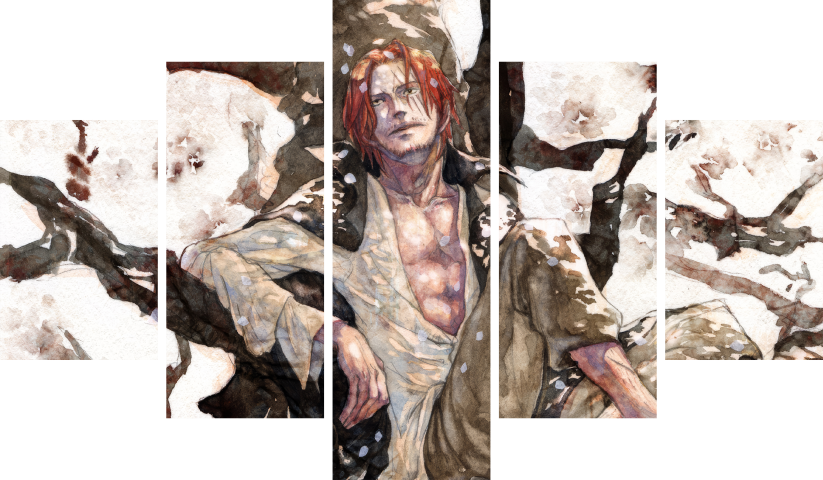 One Piece – 5 Panneaux – Plusieurs Tailles | Décoration Maison